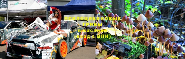 сатива Покачи