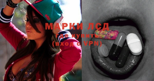 гашик Покровск