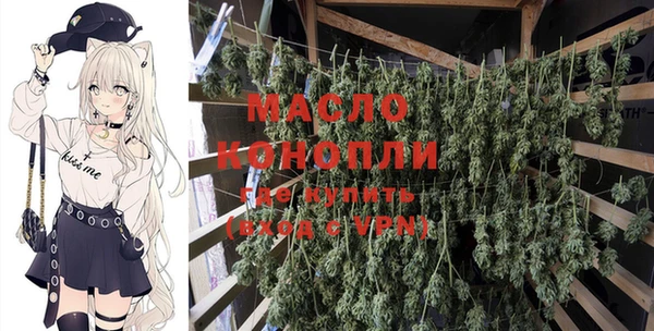 сатива Покачи